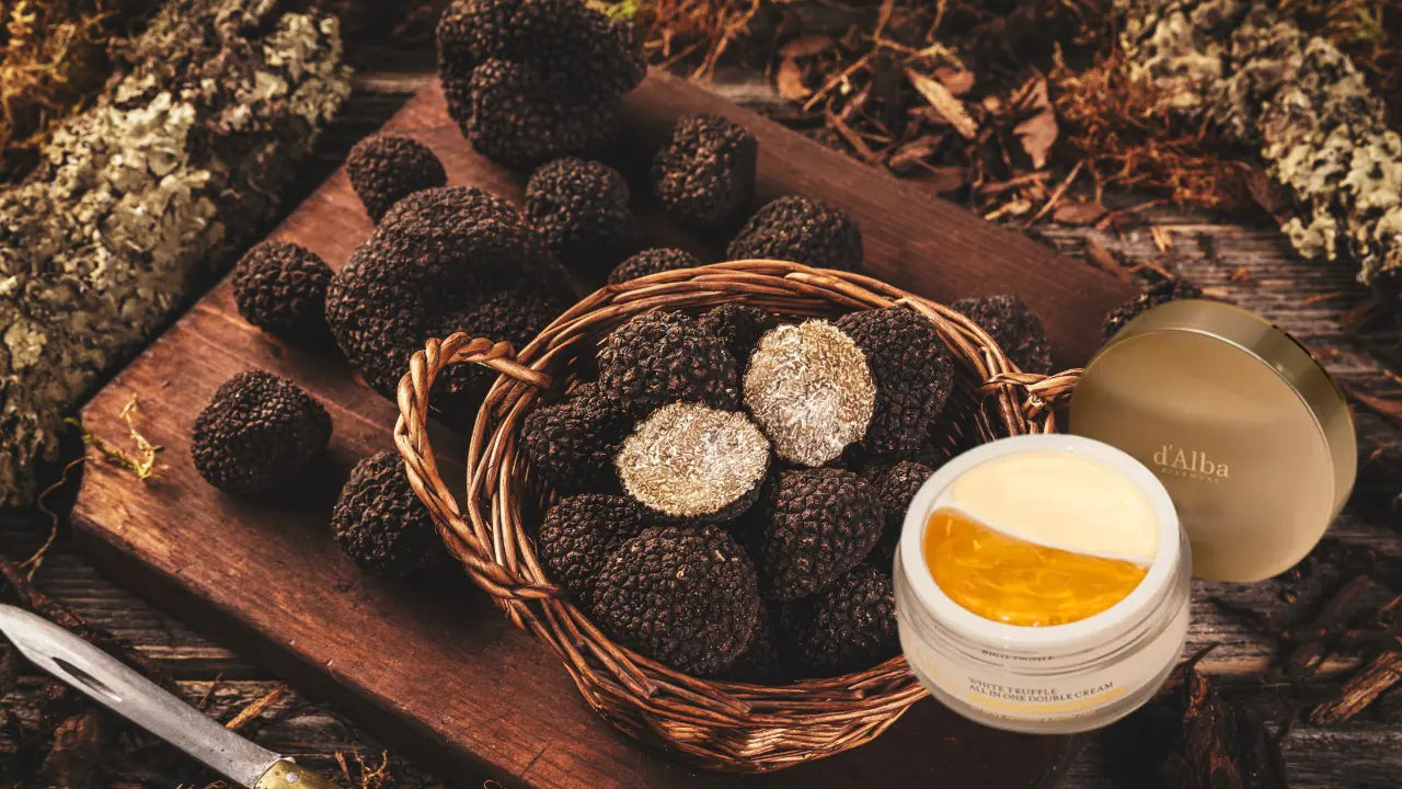 d-Alba-White-Truffle-All-In-One-Double-Cream The Korean Style
