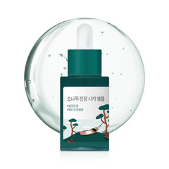 Round Lab Pine Calming Cica Ampoule