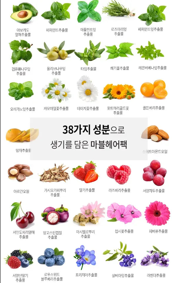 [Bio Recipe] 1-Second Damage Care 4-in-1 System Hair Pack, (300g) The Korean Style