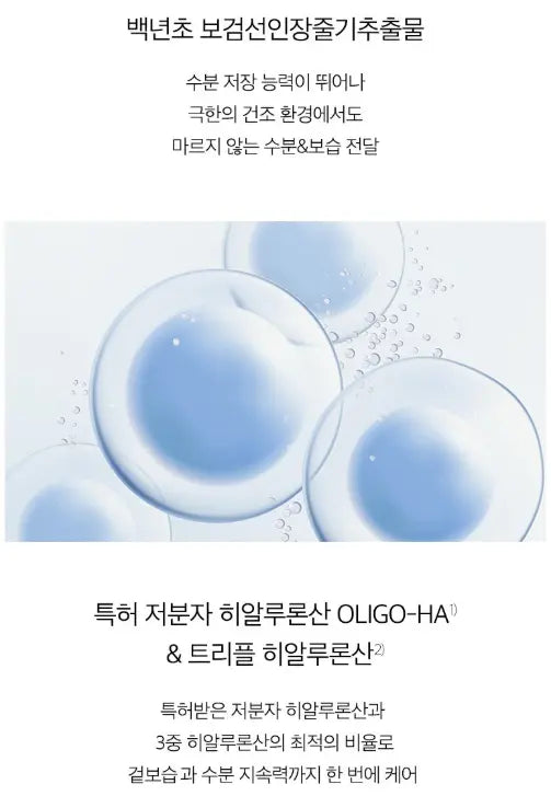 [d'Alba] White Truffle All In One Double Cream (70g) The Korean Style